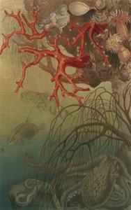 Coral rojo de European School